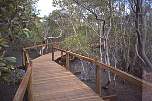 boardwalk nudgee beach.jpg